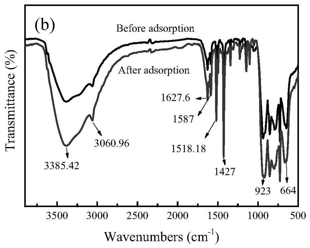 Flaky nickel vanadate nanomaterial for adsorbing VB and preparation ...