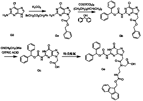 Guanine peptide nucleic acid monomer and synthetic method thereof