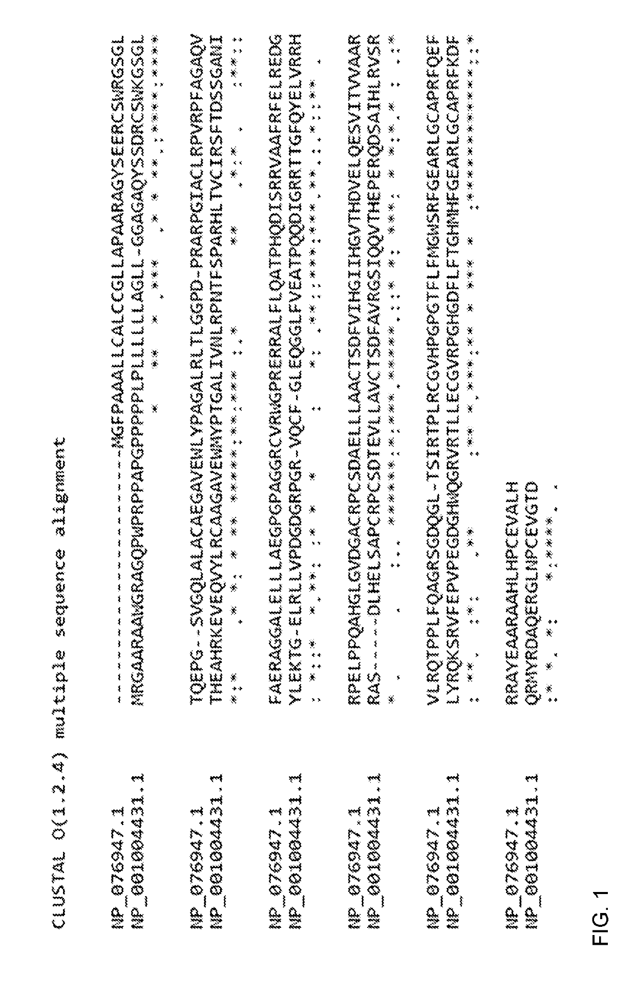 Uses of il-41