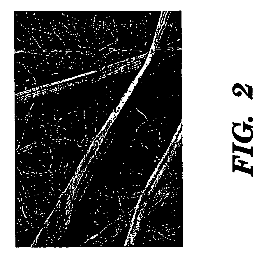 Silk biomaterials and methods of use thereof