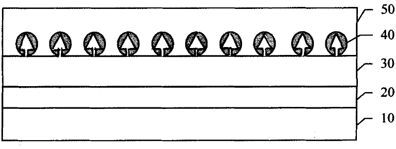 Method for preparing c-axle vertical alignment patterned magnetic recording medium