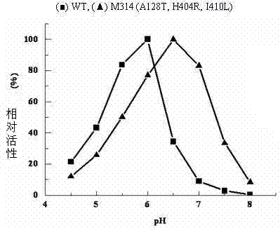 Construction of recombinant strain capable of producing arginine deiminase and directional modification method thereof