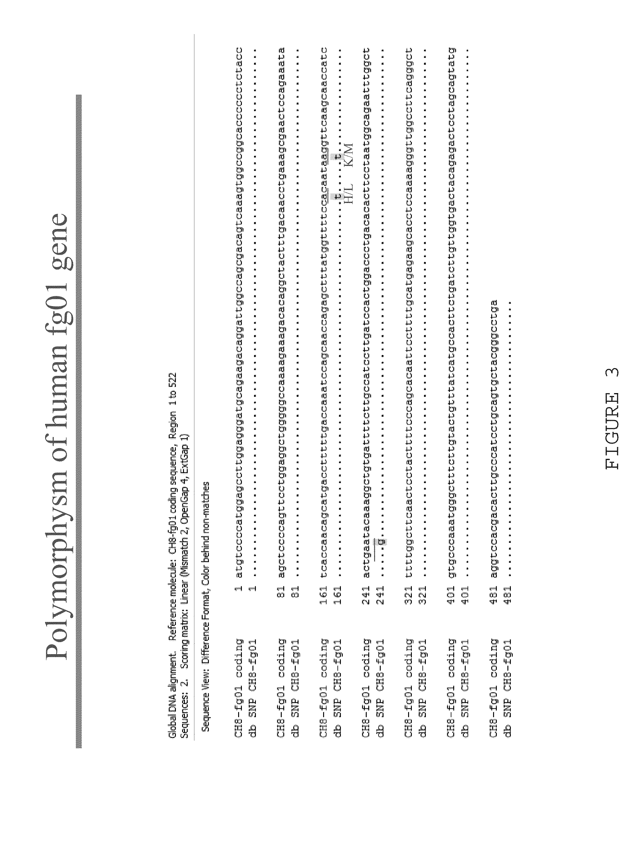 Human fg01 gene and its applications