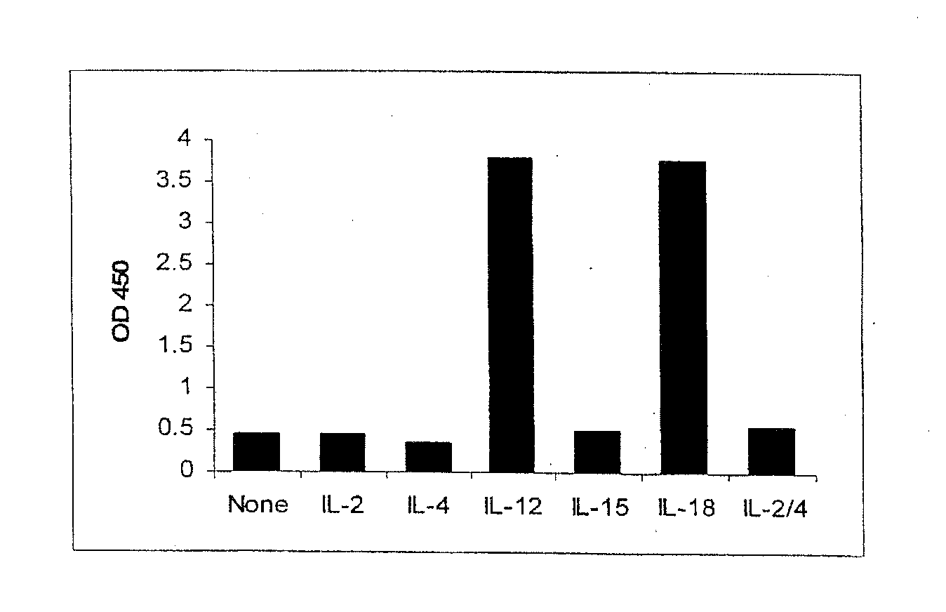 Methods and compositions for assessing il-12 or the neutralization of il-12 in a sample