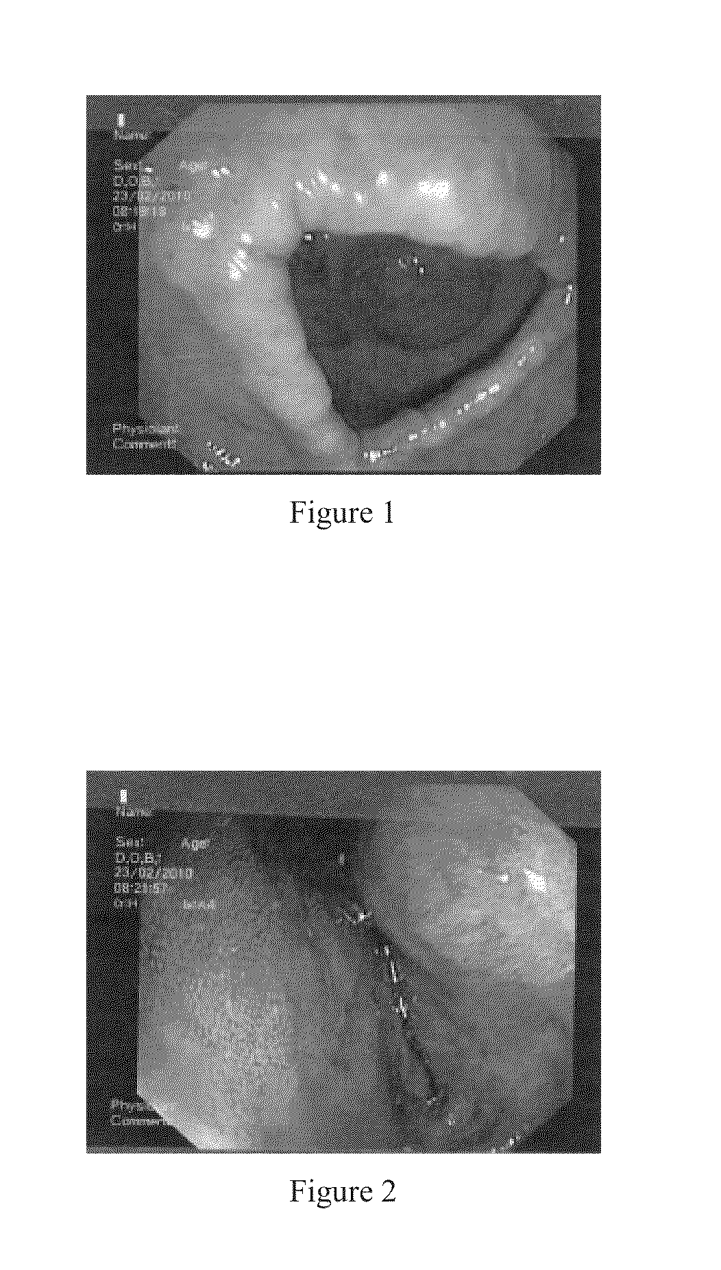 Solid composition for the oral administration of dyes and diagnostic use thereof