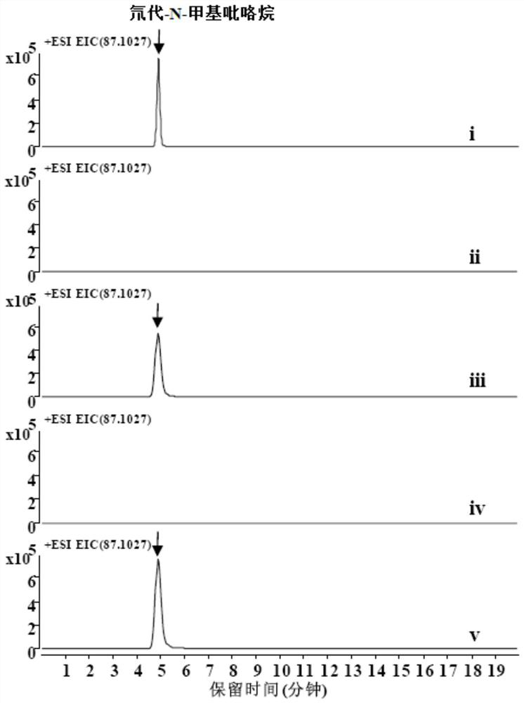 The biosynthesis method of n-methylpyrroline