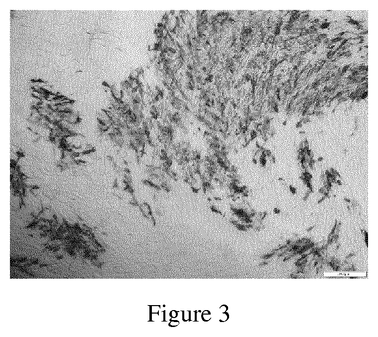 Duck Enteritis Virus and the uses thereof