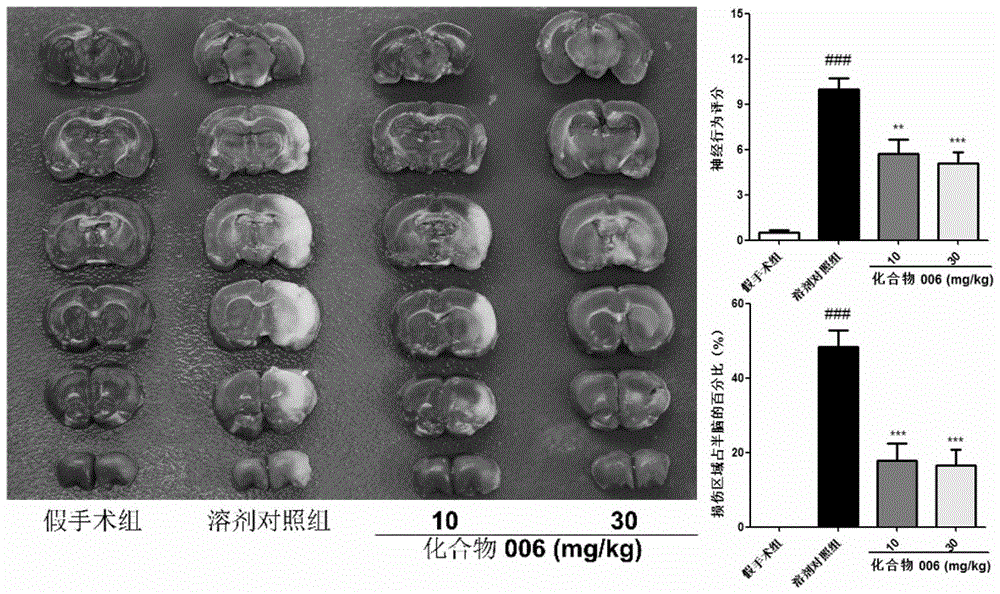 Caffeoyl-substituted pentacyclic triterpene derivatives and uses thereof