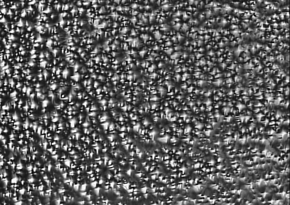 Monocrystalline silicon piece texturizing liquid and texturizing method thereof