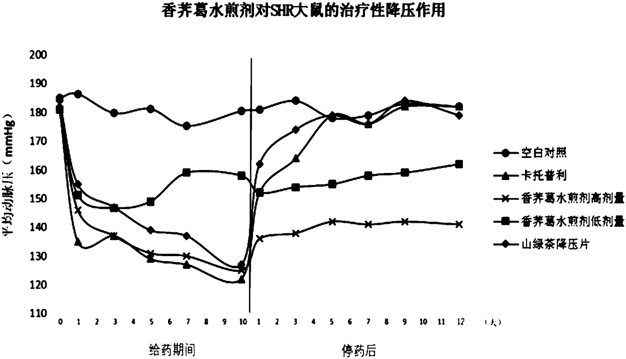 Composition with continuous blood pressure lowering function as well as preparation method and application of composition