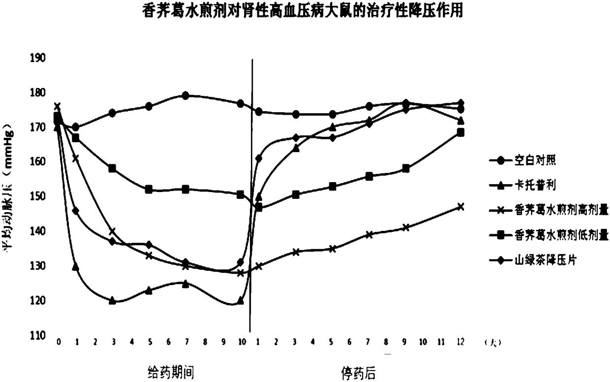 Composition with continuous blood pressure lowering function as well as preparation method and application of composition