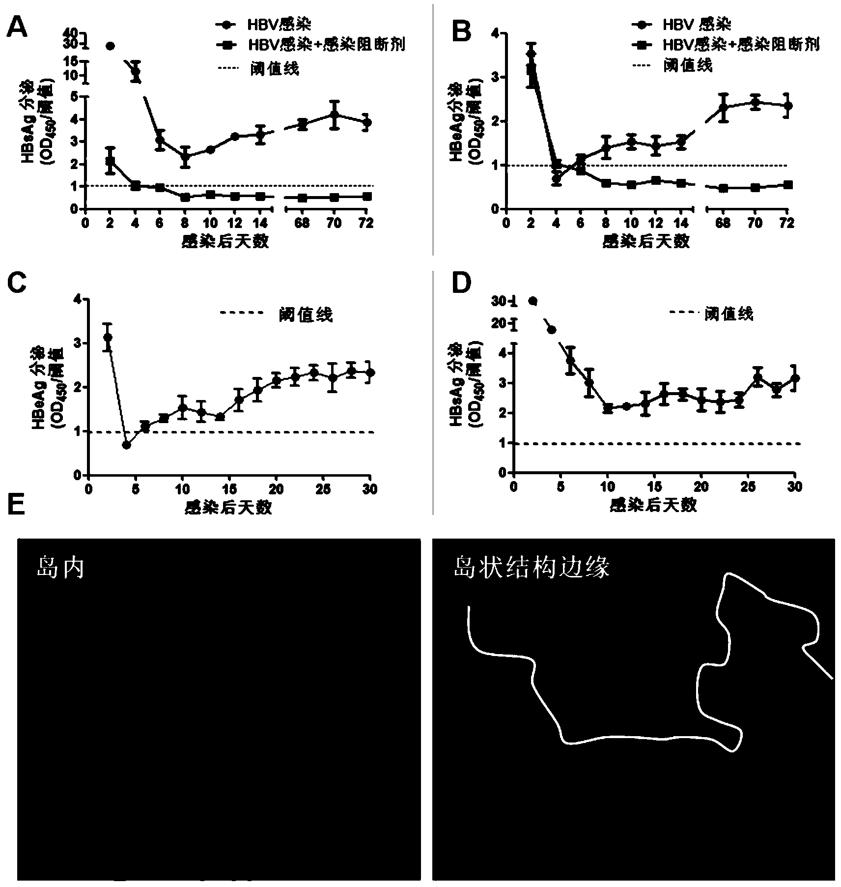 Co-culturing method of human primary hepatocytes and liver nonparenchymal cells