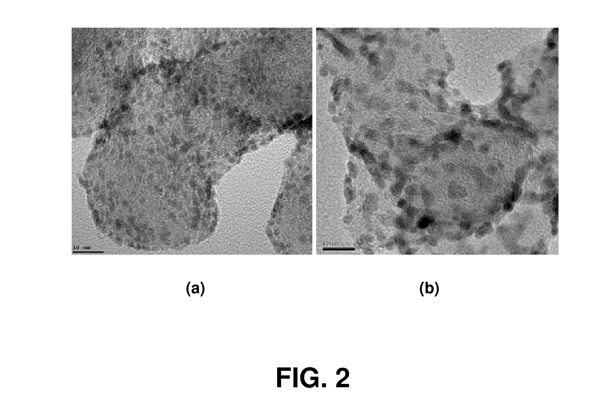 Method of preparing nano-sized catalyst on carbon support