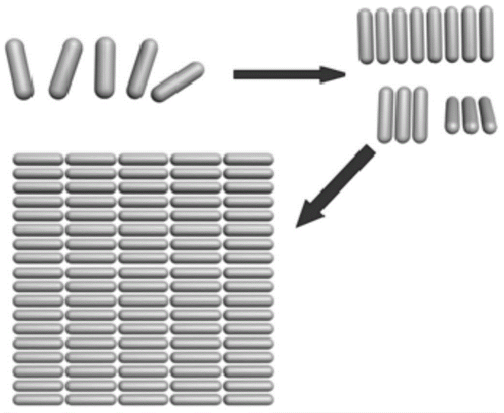 Method for manufacturing SERS substrate monolayer film and SERS substrate monolayer film