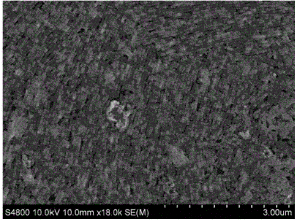 Method for manufacturing SERS substrate monolayer film and SERS substrate monolayer film