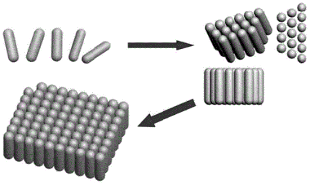 Method for manufacturing SERS substrate monolayer film and SERS substrate monolayer film