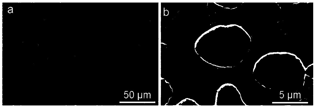 CoCrNiNbx eutectic intermediate entropy alloy and preparation method thereof