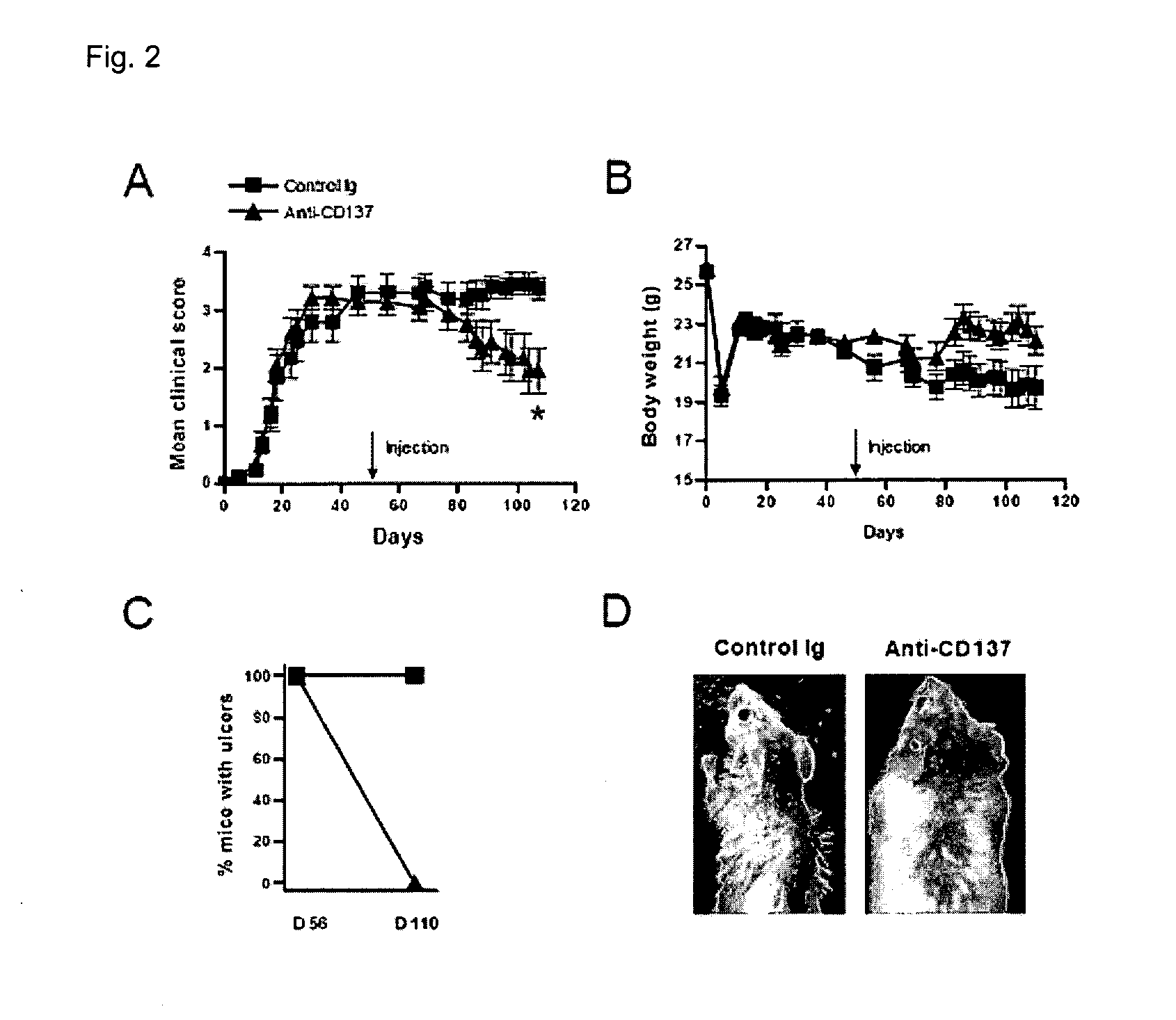 Pharmaceutical Composition for Preventing or Treating Chronic Graft-Versus-Disease Comprising Anti-CD137 Monoclonal Antibody