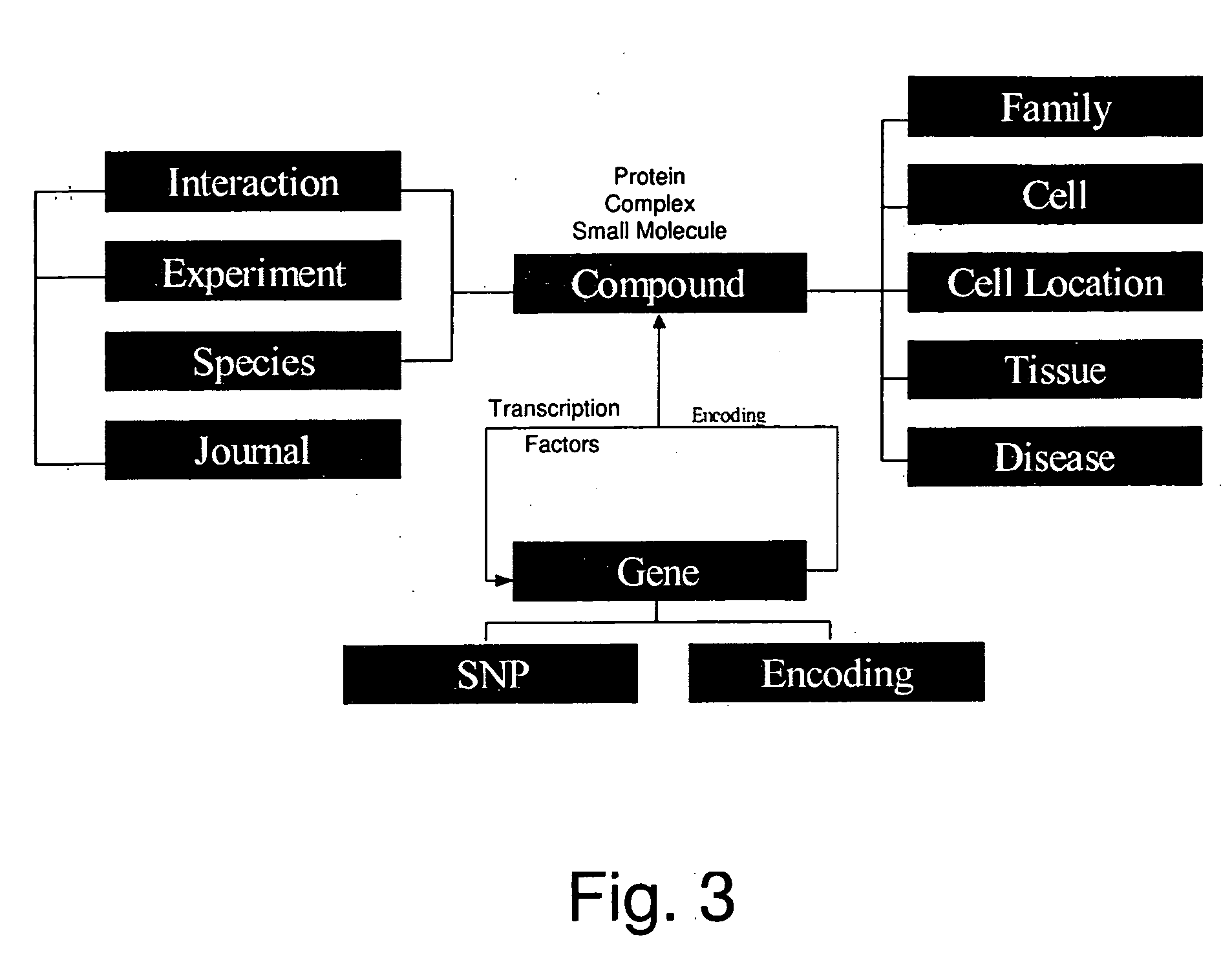 System, method and computer product for predicting biological pathways