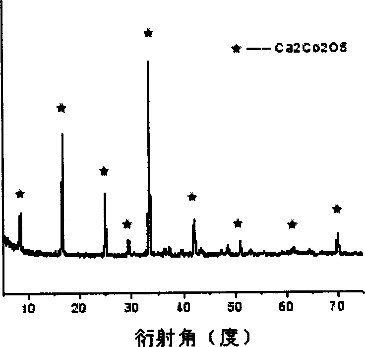 Method for preparing layered cobalt base oxide thermoelectric material