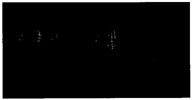 Strontium metaborate birefringent crystal as well as preparation method and application