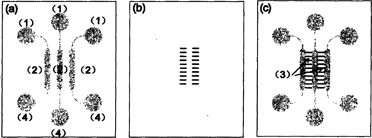 Microfluidic chip and method for studying non-contact type cell co-cultivation by using the same
