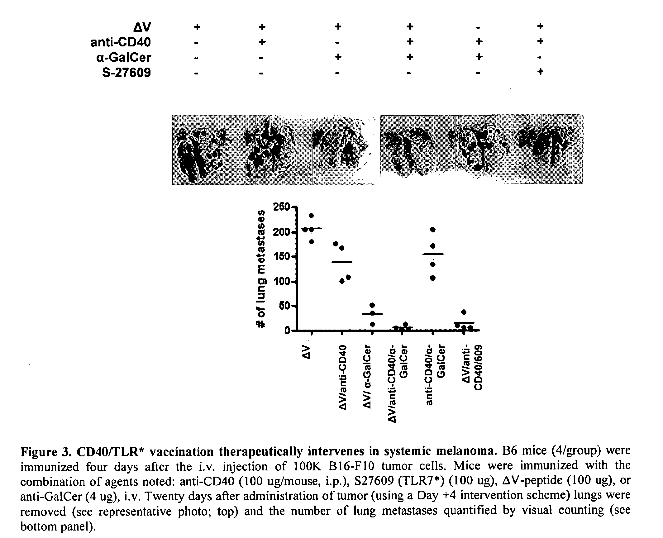 Adjuvant combinations of nkt activator, cd40 agonist, and optional antigen, the use through inducing synergistic cellular immunity