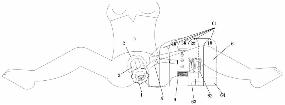 Disposable petal shaping and vagina protecting integrated device, sterilization constant-temperature box and using method of disposable petal shaping and vagina protecting integrated device,