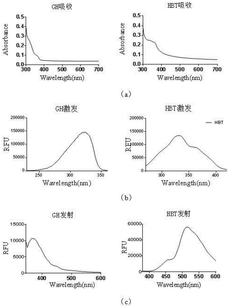 Fluorescent probe GH and preparation method and application thereof