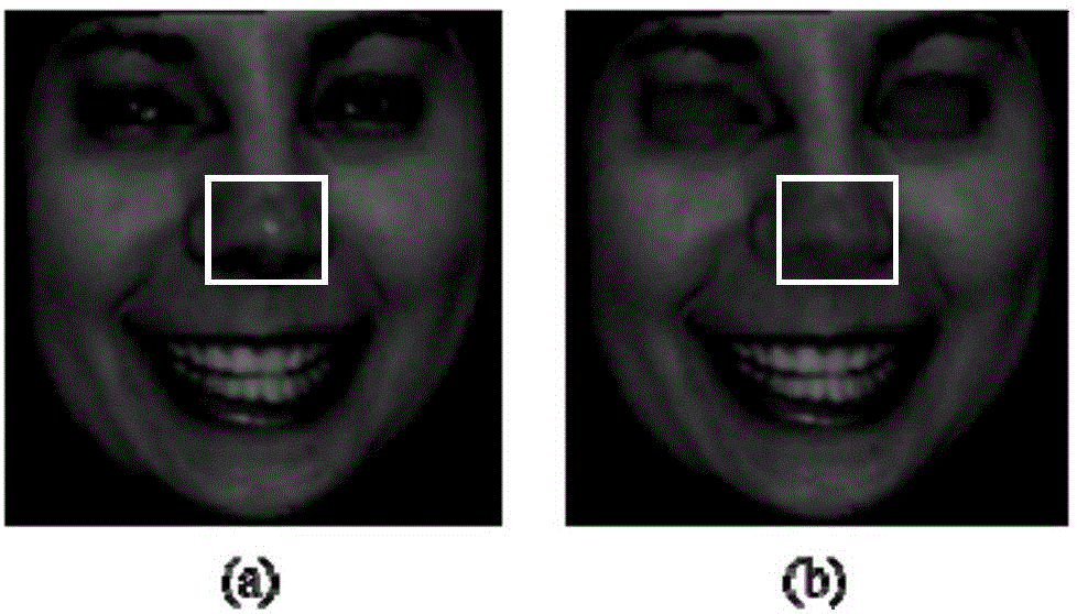 Facial expression synthetic method based on rapid expression information extraction and Poisson image fusion