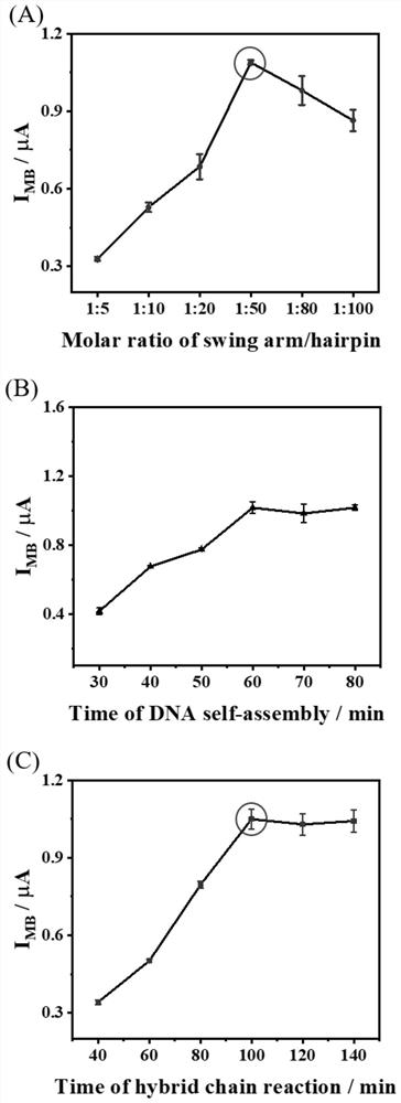 Preparation method and application of electrochemical biosensor based on DNA walker