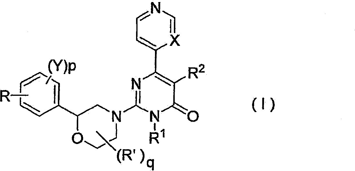 2-morpholino-4-pyrimidone compound