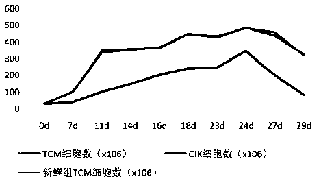 TCM (central memory T cell) induced by peripheral blood mononuclear cells, and application
