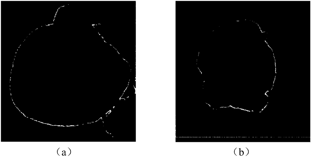 Large-flux hydrophilic oleophobic oil-water separation membrane with antibacterial function as well as preparation and application of membrane