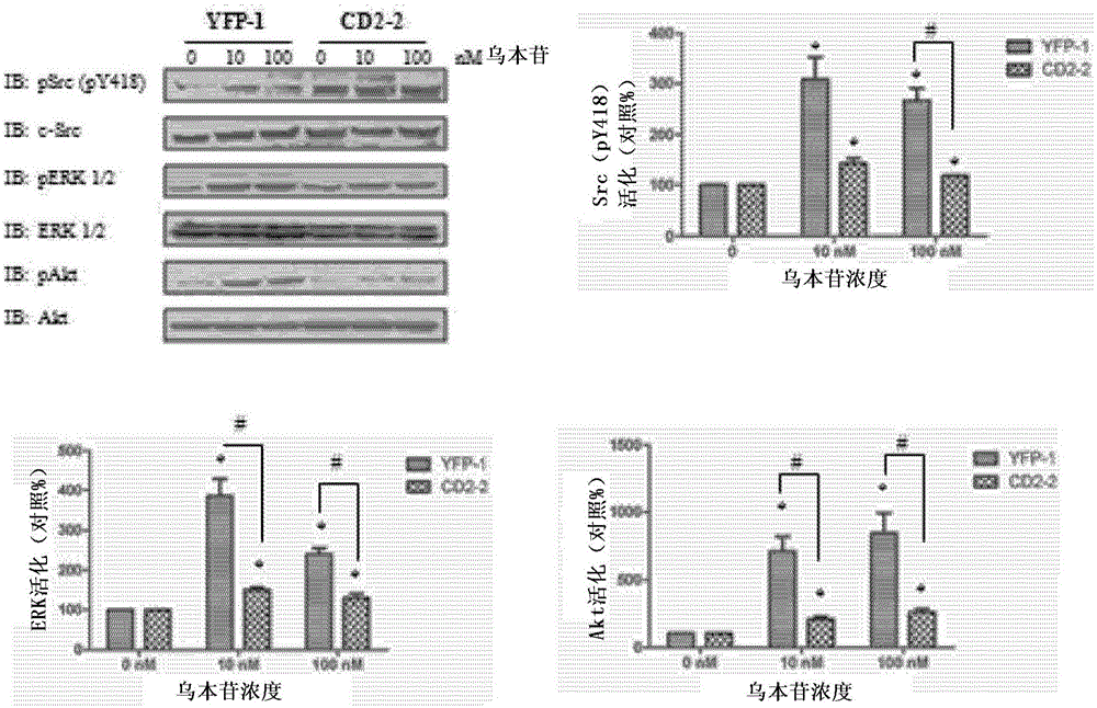 Cardiotonic steroid antagonists and related methods