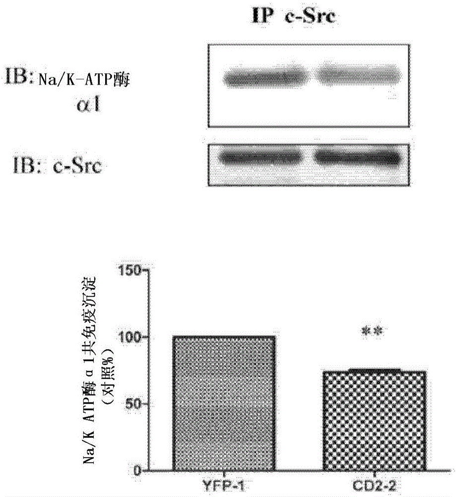 Cardiotonic steroid antagonists and related methods