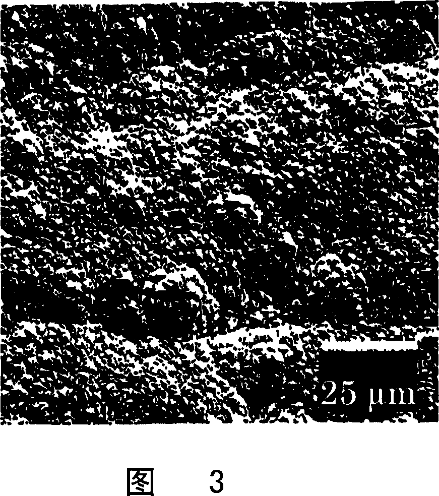 Tantalum carbide-covered carbon material and process for producing the same