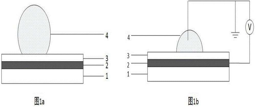 Display device based on electrowetting effect to drive liquid droplet movement