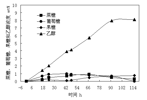 Method for producing fuel ethanol by fermenting corncob processing residue