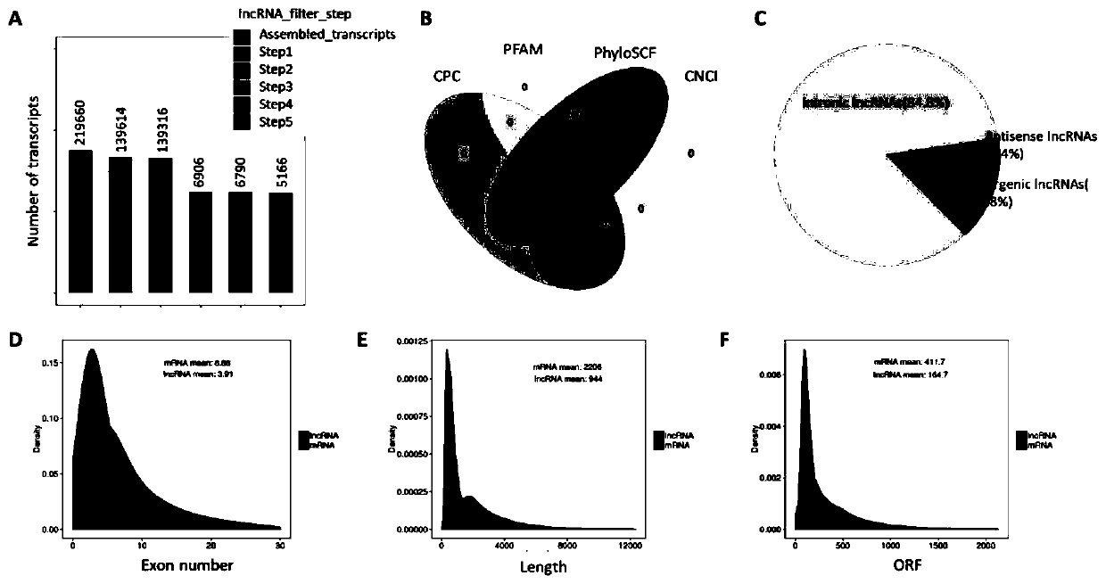 Application of incrnalnc_004208 and its detection reagents in the preparation of glioma prognosis reagents