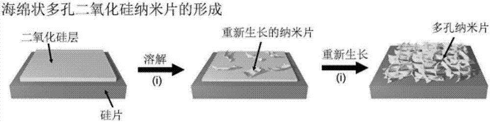 Preparation method of spongy porous silicon-dioxide nanosheet