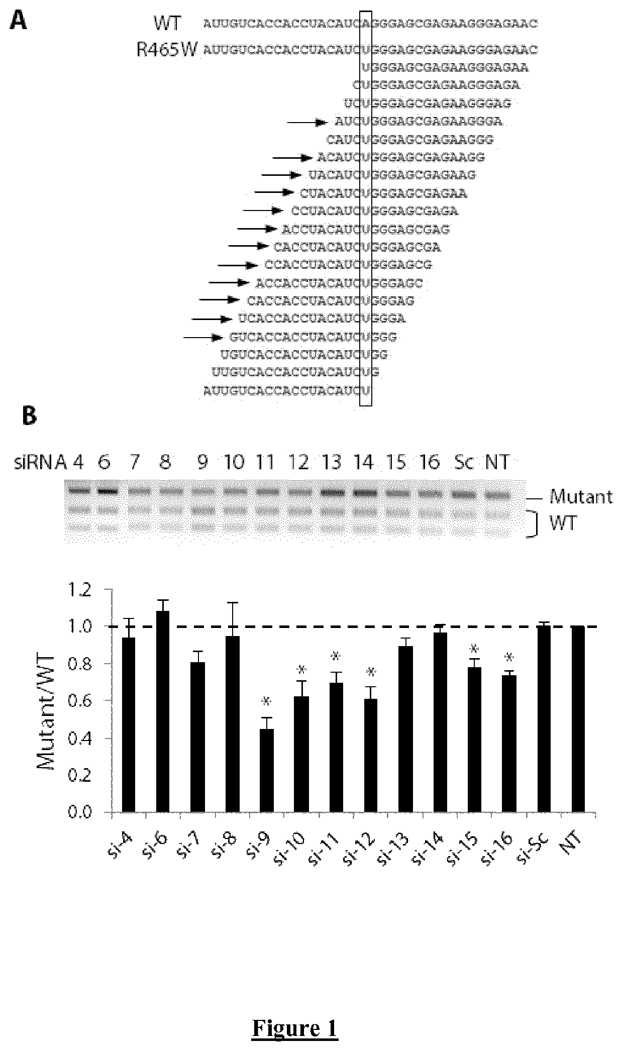 Allele-specific silencing therapy for Dynamin 2-related diseases