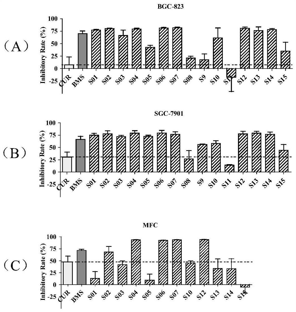 Asymmetric curcumin compounds and their application in the preparation of anti-gastric cancer drugs