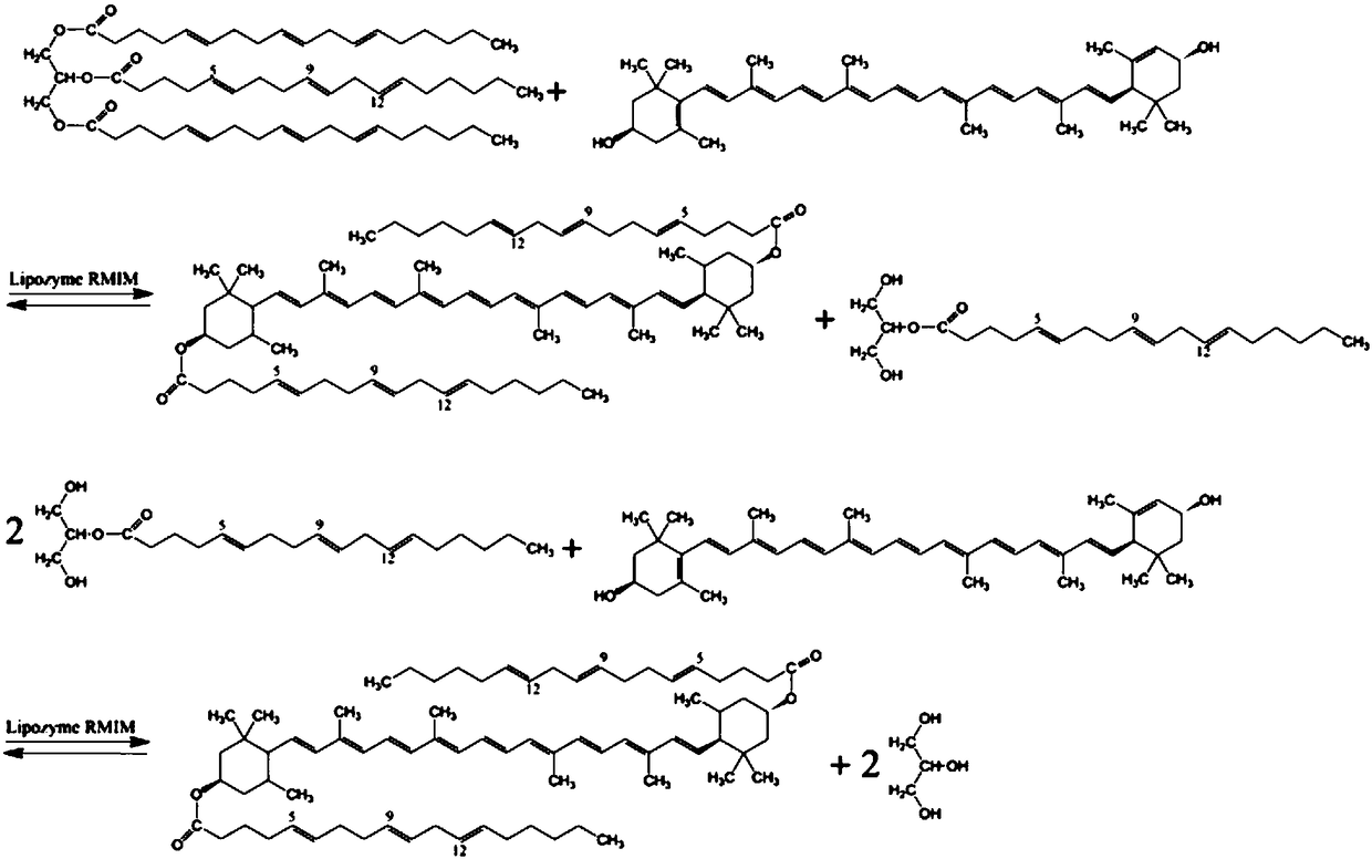 Pinolenic acid lutein ester enriched pine-seed oil and preparation method thereof