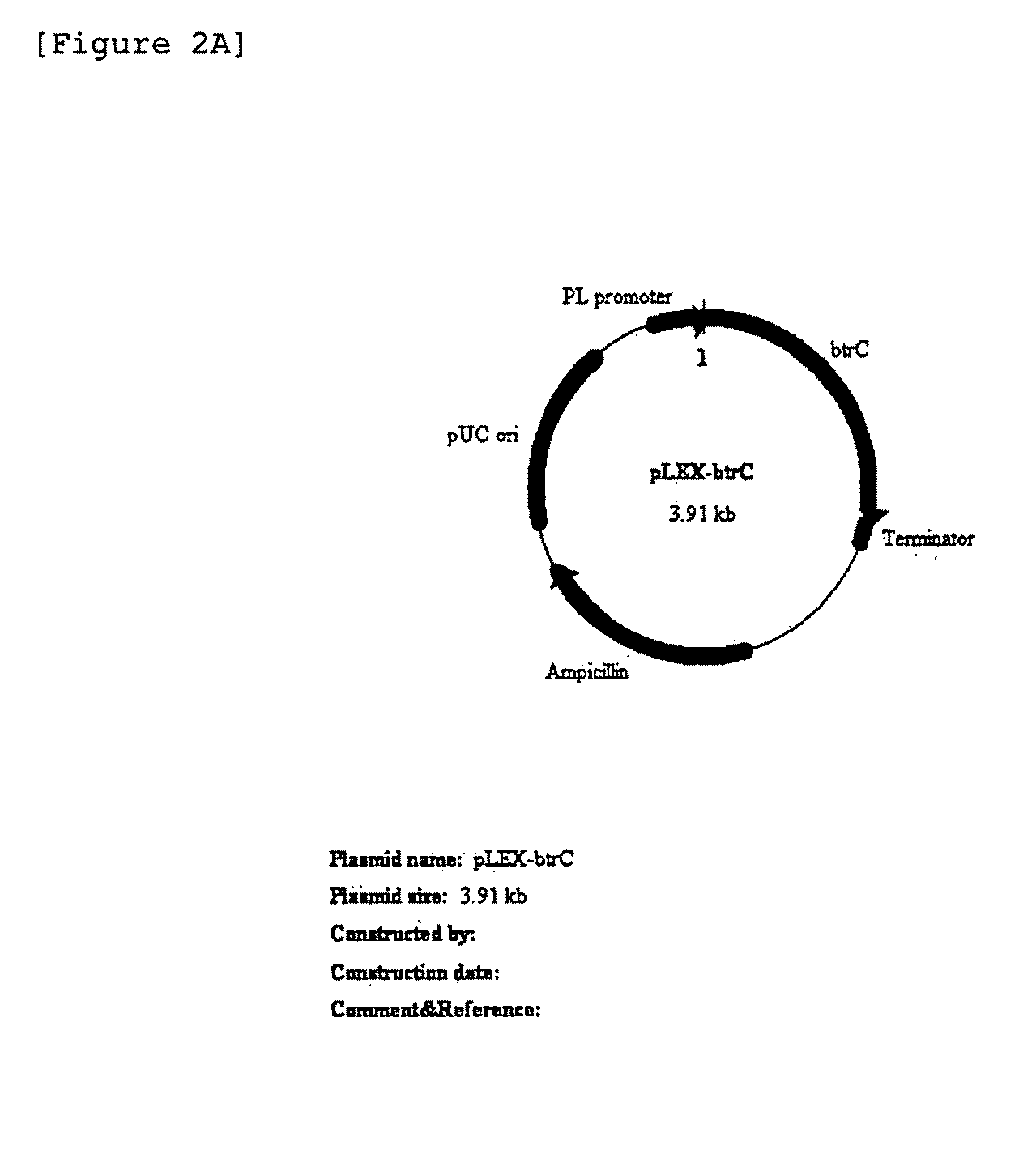 Gene Expression Cassette and a Transformant, and a Method for Manufacturing 2-Deoxy-Scyllo-Inosose and a Method for Purifying 2-Deoxy-Scyllo-Inosose Using Said Transformant