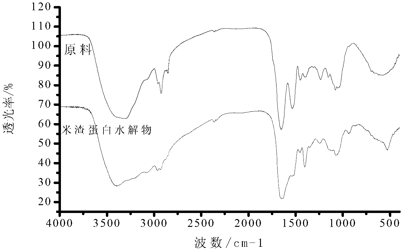 Preparation method of high-purity rice protein