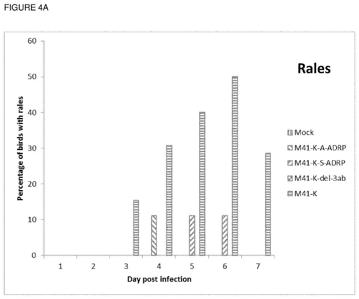 Attenuated infectious bronchitis virus