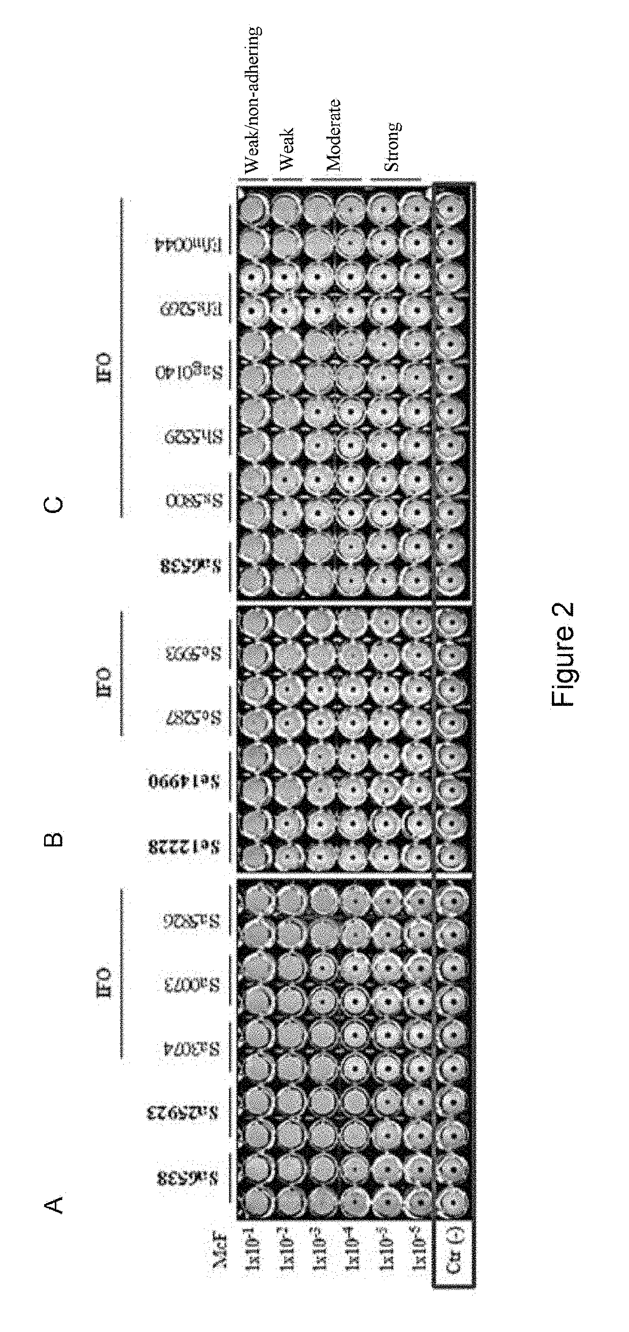 Method for classifying microorganisms