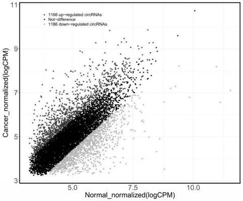 CircRNA related to malignant melanoma and application of circRNA