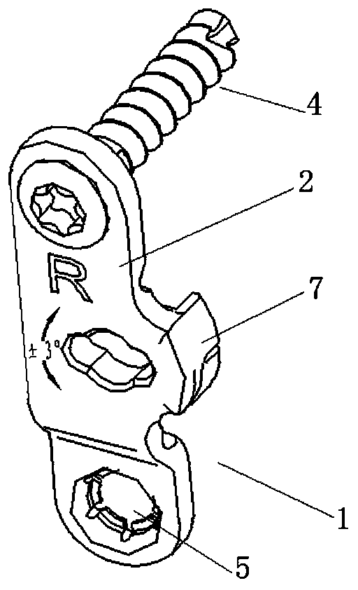 A fixation system for the spine